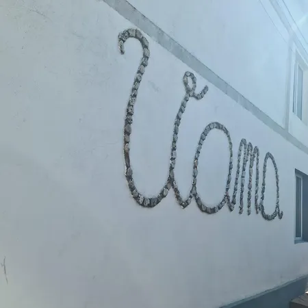 Hotel Bam Vama Veche